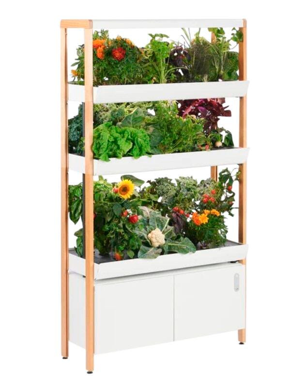 Triple Rise Garden Cloud 2134757